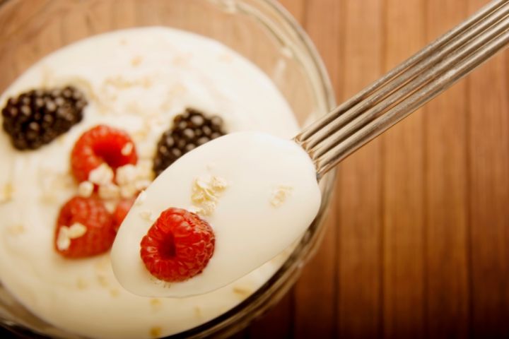 Whole Milk Yogurt