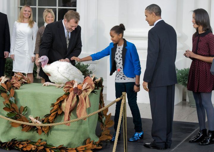 November 2011; Thanksgiving