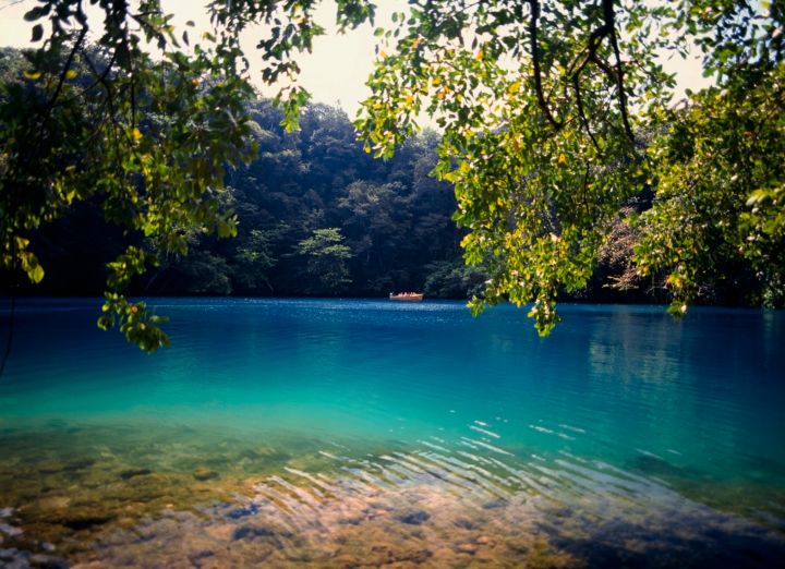 Swim in the Luminous Lagoon
