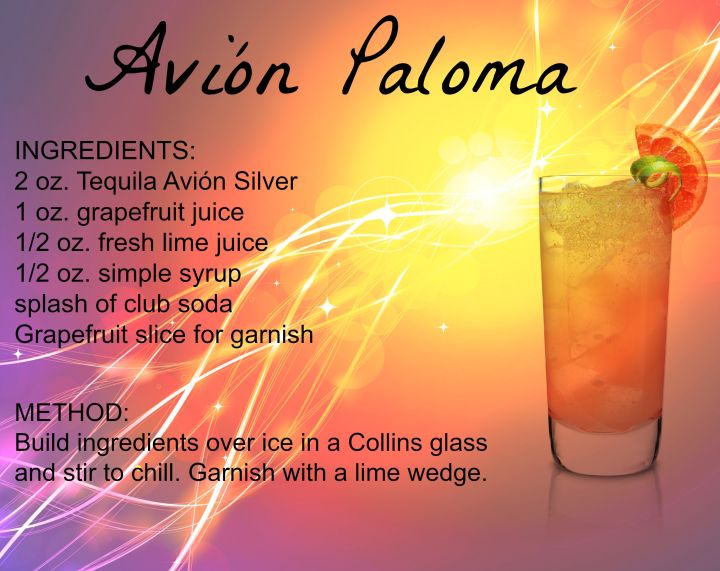 Avion Paloma