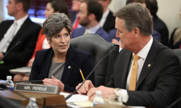 Senate Agriculture Holds Hearings On Bird Flu And Its Influence On U.S. Poultry Sector