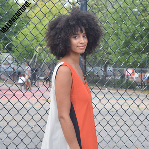 AfroPunk Festival 2015