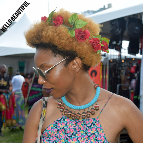 AfroPunk Festival 2015