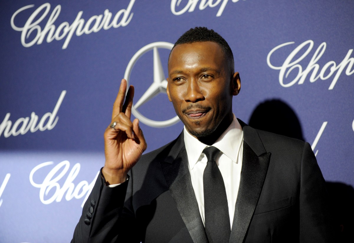 28th Annual Palm Springs International Film Festival Film Awards Gala - Arrivals