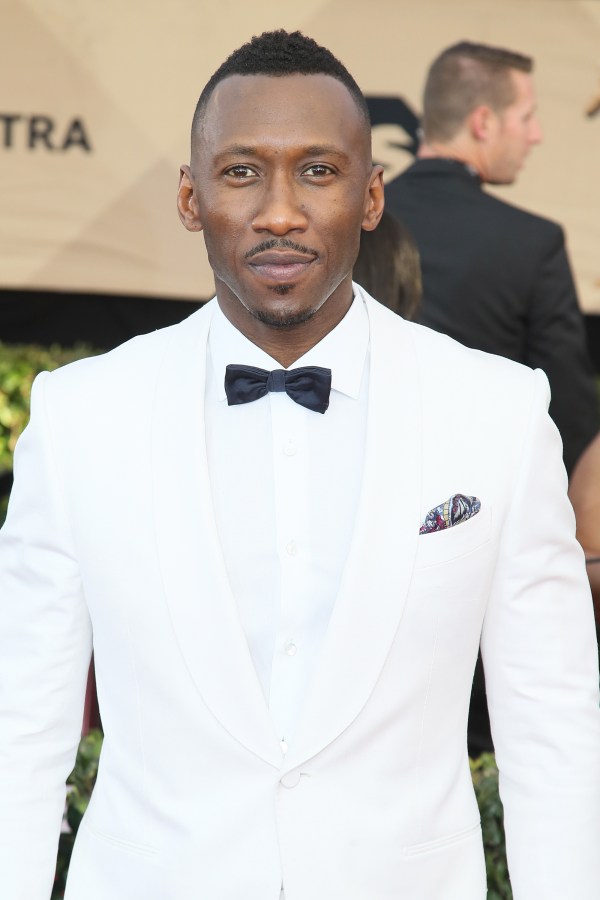 23rd Annual Screen Actors Guild Awards - Arrivals