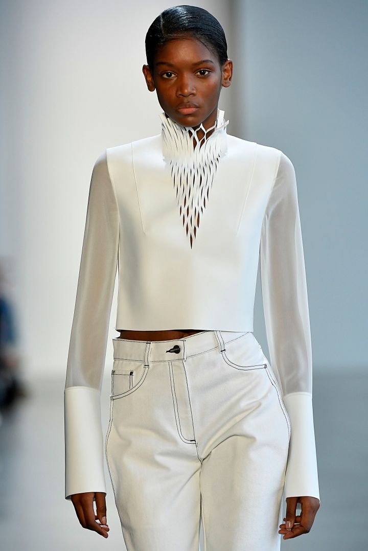 DION LEE