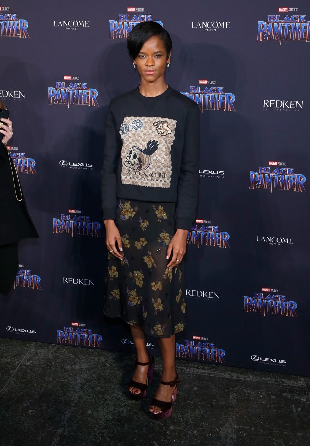 Marvel Studios Presents: Black Panther Welcome To Wakanda - Front Row & Backstage - February 2018 - New York Fashion Week: The Shows