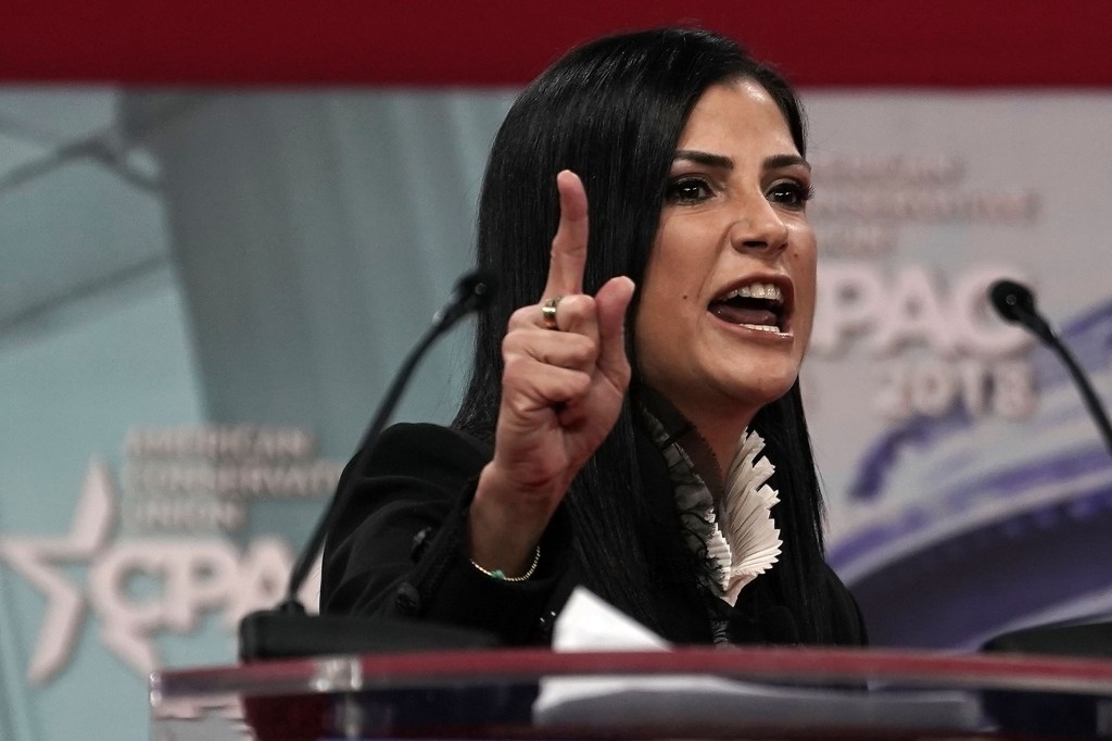Dana Loesch 