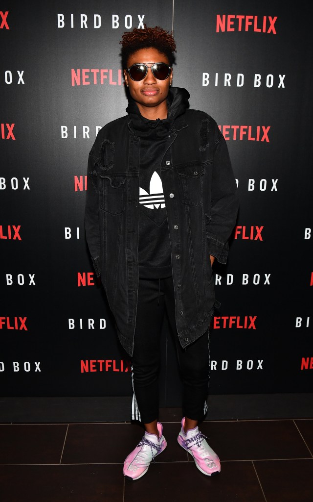 Netflix Bird Box Atlanta VIP Screening