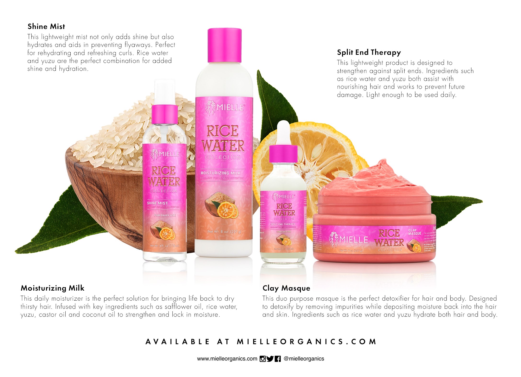 Mielle Organics Rice Water Collection