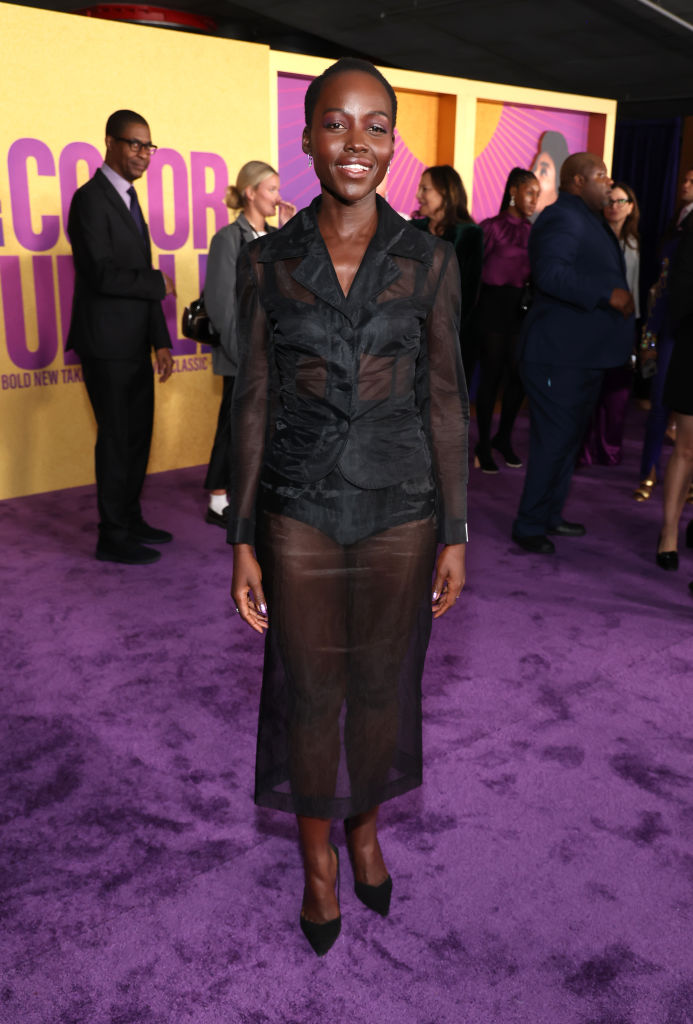 Los Angeles Premiere Of Warner Bros.' "The Color Purple"