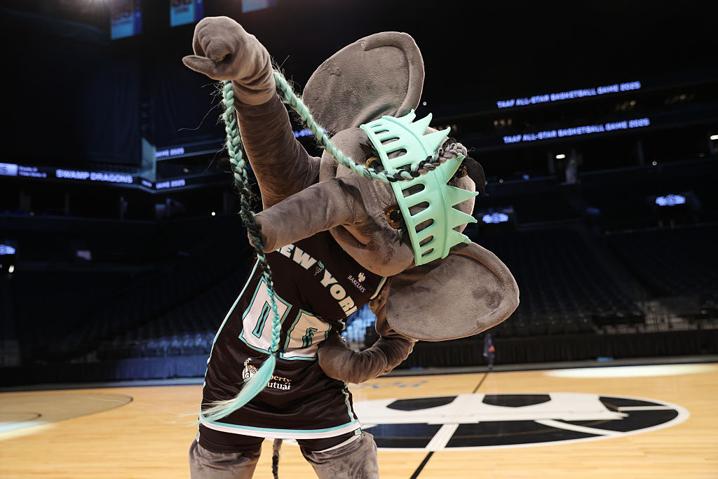 Ellie the Elephant, Mary. J Blige, tribute, New York Liberty